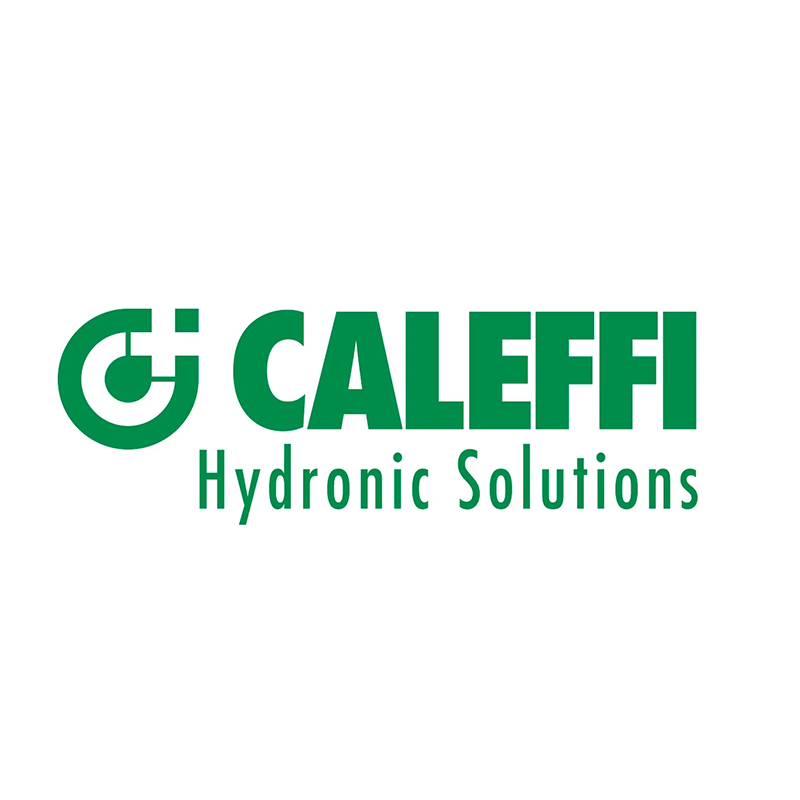 Logo 21