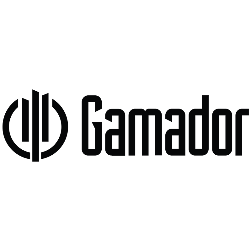 Logo 21
