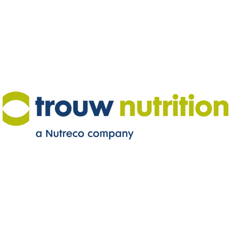 Logo 6